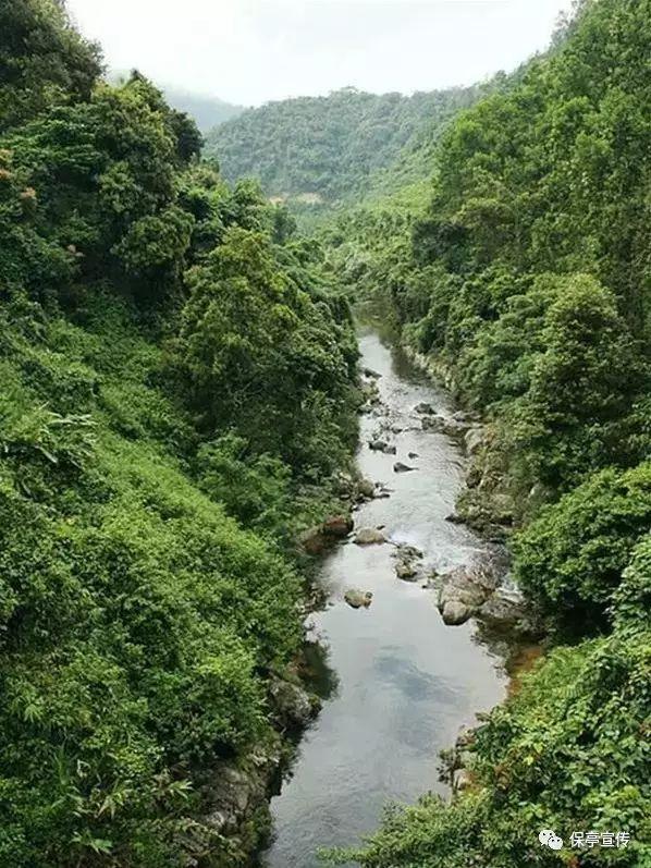 知情人曝王心凌曾陷感情低谷！每次受情伤都很痛苦，只因太传统