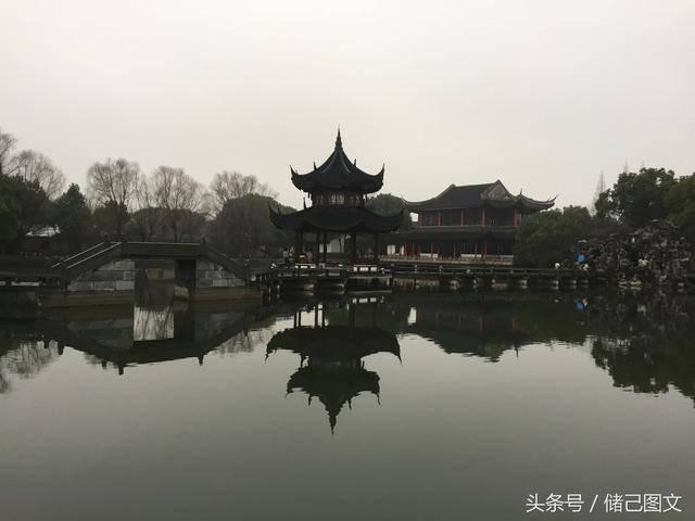 封面观酒 | 生肖酒争奇斗艳，哪款颜值能打动你的心？